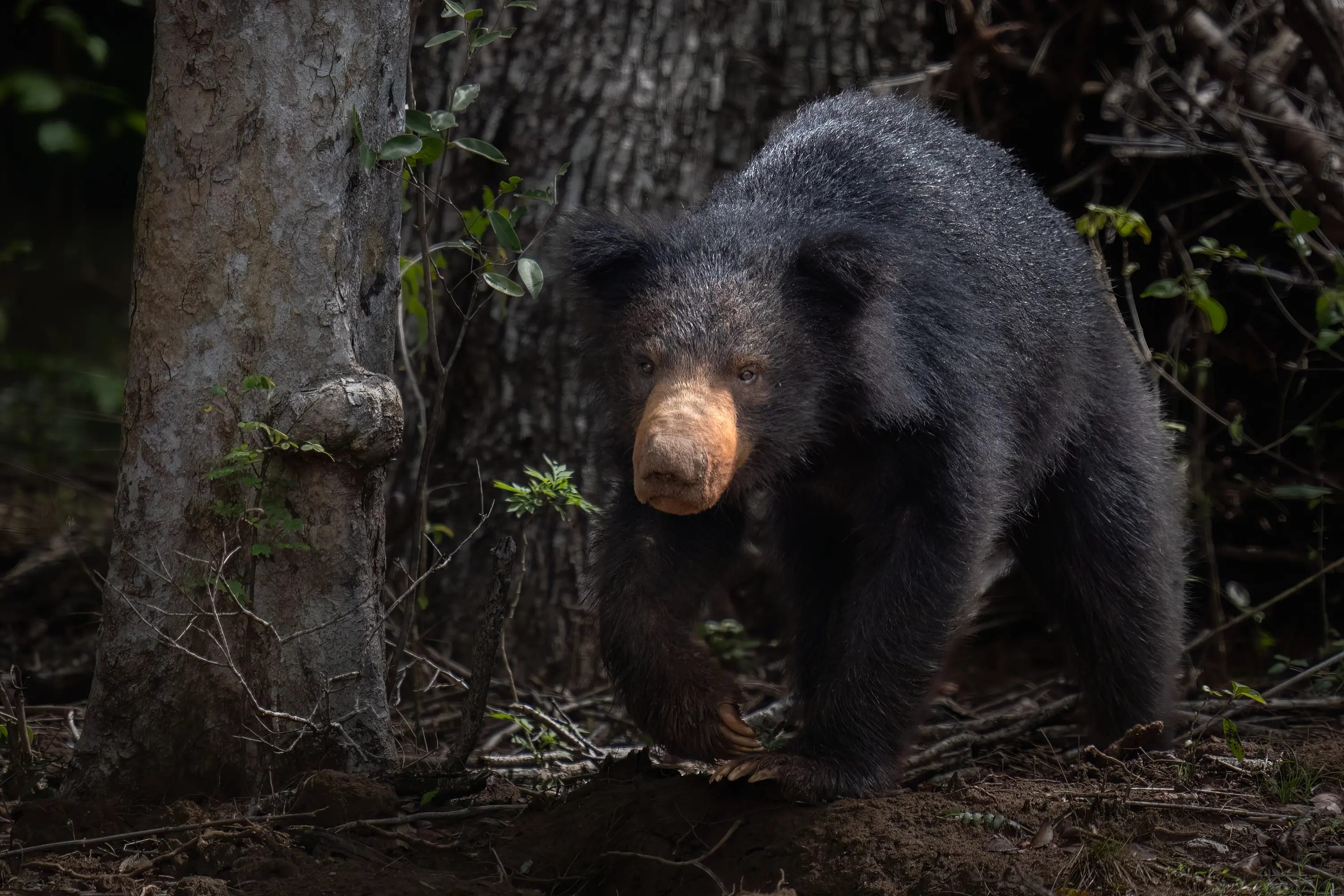 Instagram Post Placeholder